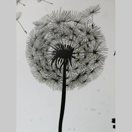 Ferienwohnung Pusteblume Mueddersheim Vettweiss Екстер'єр фото