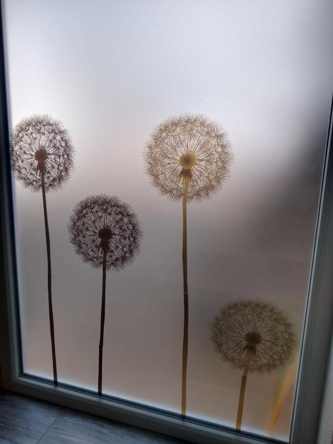 Ferienwohnung Pusteblume Mueddersheim Vettweiss Екстер'єр фото